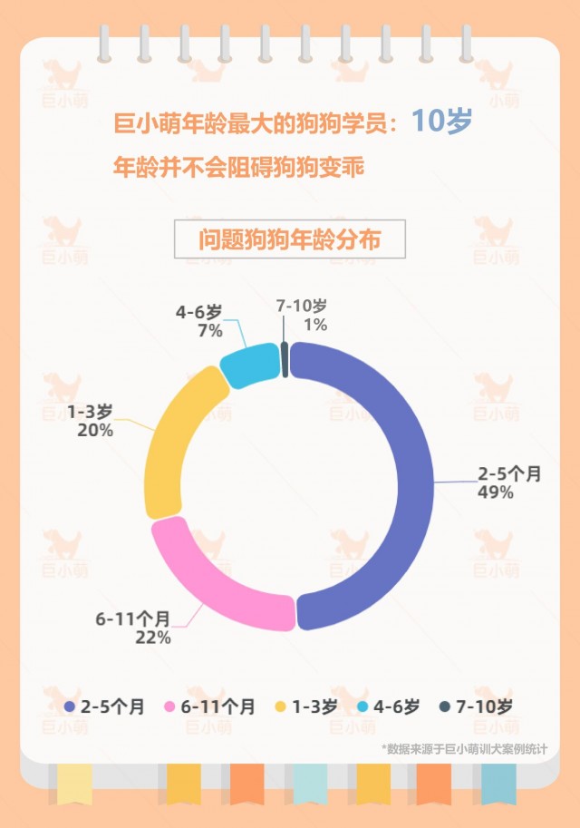 《2020年度宠物犬行为白皮书》：8种热门狗狗常见坏习惯解析